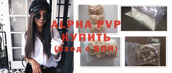 спиды Магас