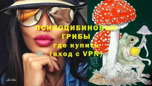 молекула духа Мегион