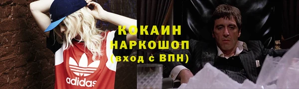 молекула духа Мегион