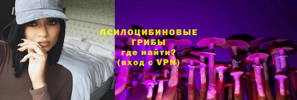 мдпв Медвежьегорск