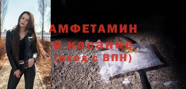 молекула духа Мегион