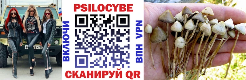 что такое наркотик  Ахтырский  Псилоцибиновые грибы Psilocybine cubensis 